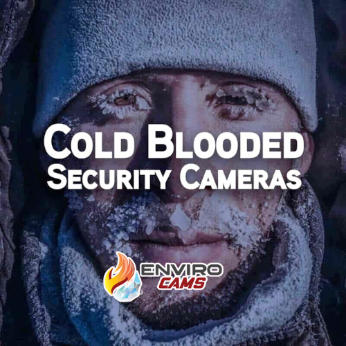 Cold Blooded Security Cameras